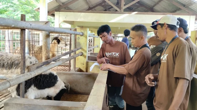 Konsep Close Loop, Kunci Peternakan Jadi Lebih Efisien