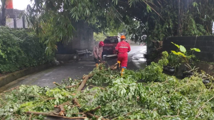 Empat Kapanewon di Sleman Terdampak Hujan Angin