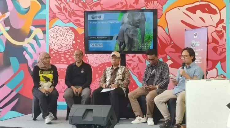 Koridor Terputus, Gajah Sumatera Terancam Kehilangan Habitat