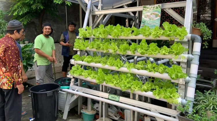 Limbah Air Wudhu Punya Manfaat