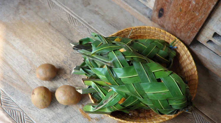 Kembalinya si Hijau: Daun Pisang dan Jati Kembali Dilirik