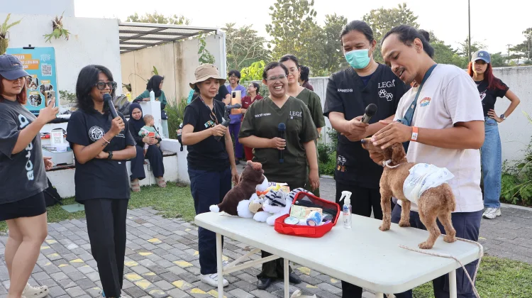 Hewan Peliharaan dalam Kondisi Darurat, Segera Lakukan ini