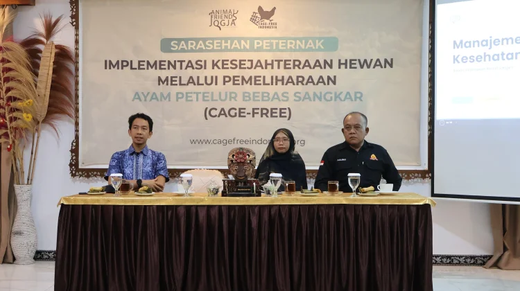 Permintaan Telur Bebas Sangkar Meningkat