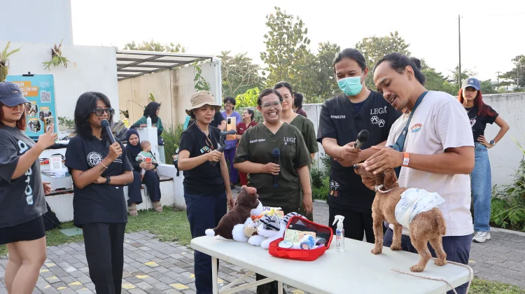 PawSAFE 2026 Dorong Kepedulian Sosial dan Perlindungan Hewan di Yogyakarta