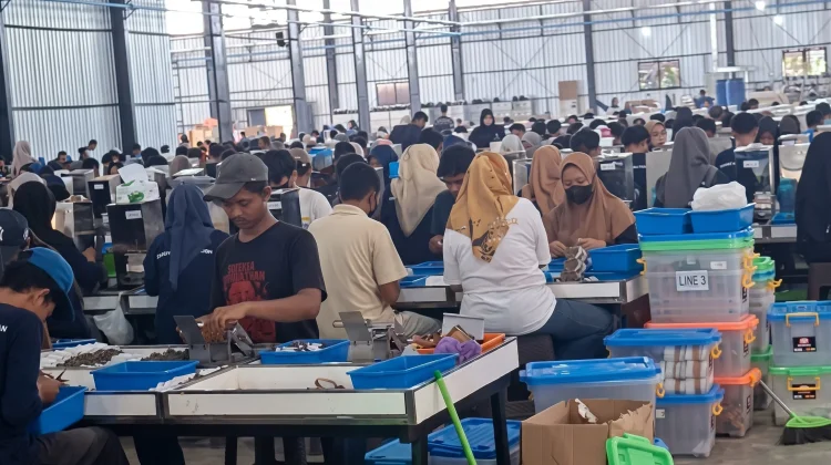Pabrik HS Buka Peluang Kerja Inklusif Disabilitas
