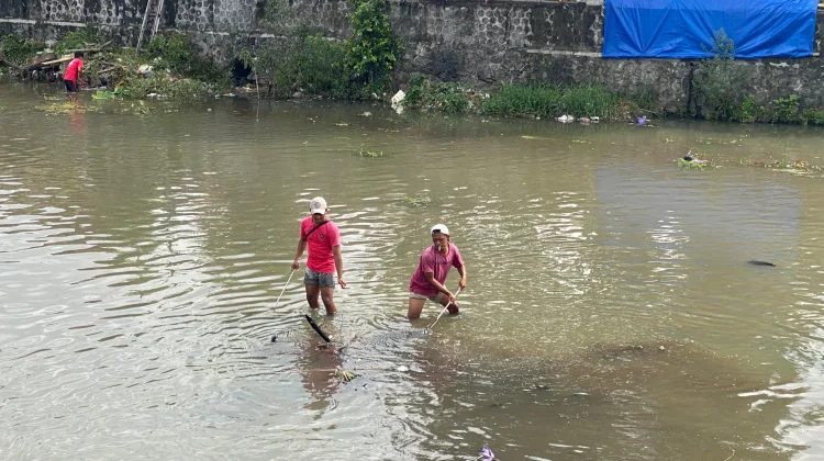 Ledakan Ikan Sapu-sapu Jadi Indikator Air Sungai Tercemar