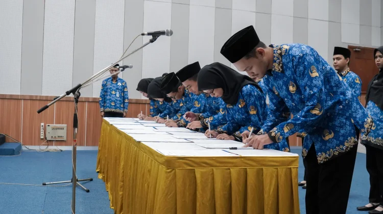 Pahami Perbedaan Jabatan Fungsional dan Pelaksana sebelum Daftar CPNS
