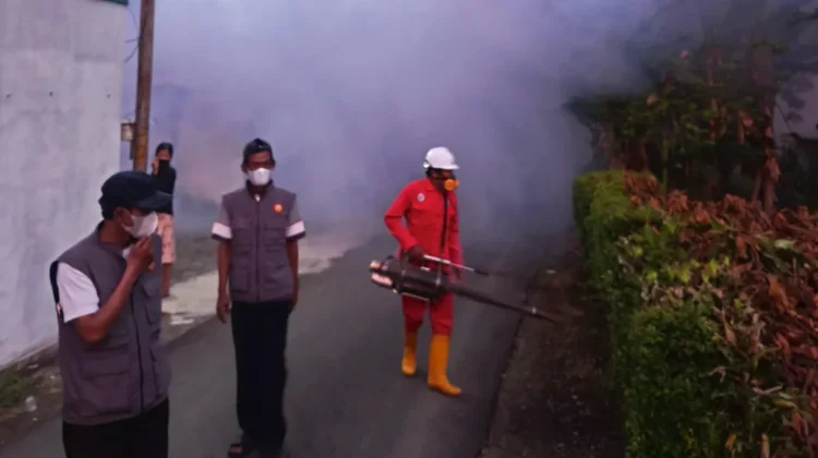 Waspada Chikungunya, Dinkes Kulon Progo Fogging Wilayah Graulan, Giripeni