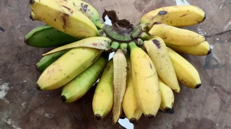 Pisang, Salah Satu Makanan yang Mampu Meningkatkan Suasana Hati