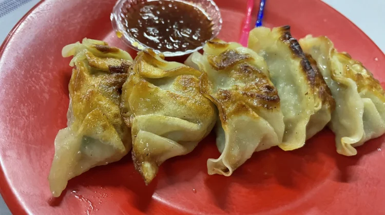 Gyoza Juicy Homemade Jadi Inspirasi Menu Praktis untuk Keluarga