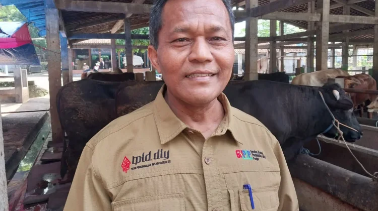 TPID Yogyakarta Pantau Kesehatan Hewan Kurban jelang Iduladha
