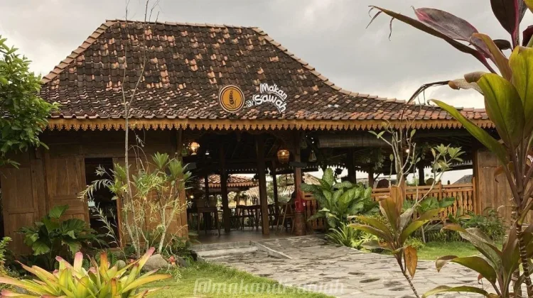 Makan di Sawah, Harga Murah dengan Pemandangan Hijau Menghampar