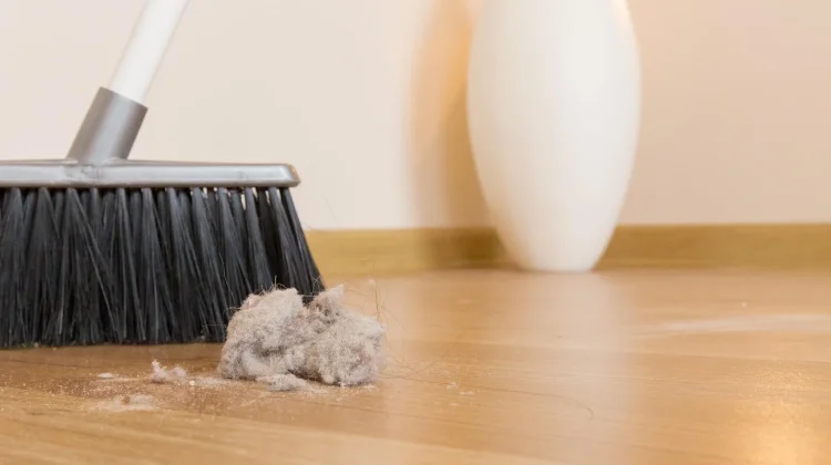Menakar UU PPRT, Perspektif Baru pada Pekerjaan Domestik