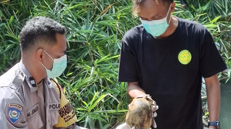 Mayat Misterius dan Tengkorak Berlumut Ditemukan di Sungai Bedog Bantul