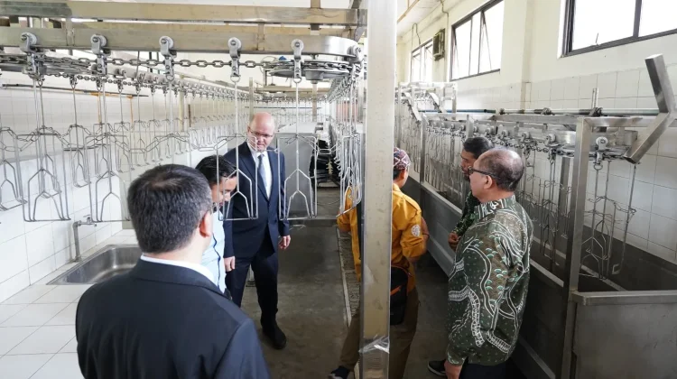 Kembangkan Rumah Potong Ayam, Fapet UGM Gandeng PT Toros