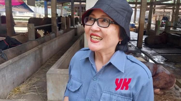 Pengawasan Pasar Tiban Hewan Kurban Diperketat, Dilarang Gunakan Aset Pemerintah