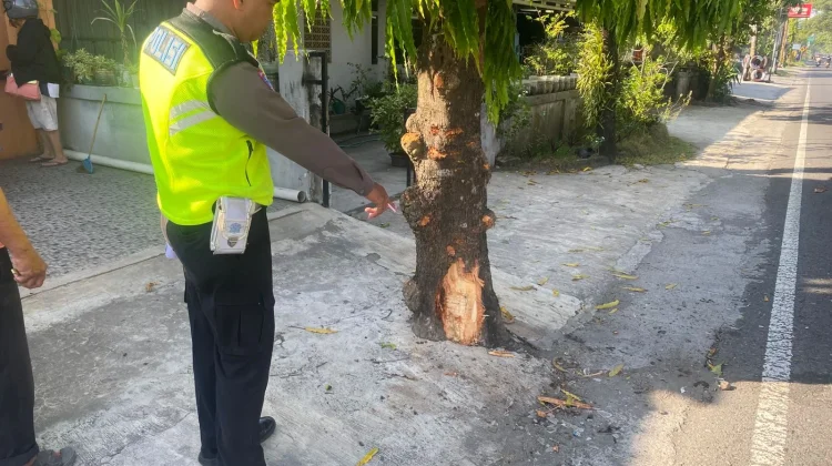 Pemotor Tewas Usai Tabrak Pohon di Sewon Bantul