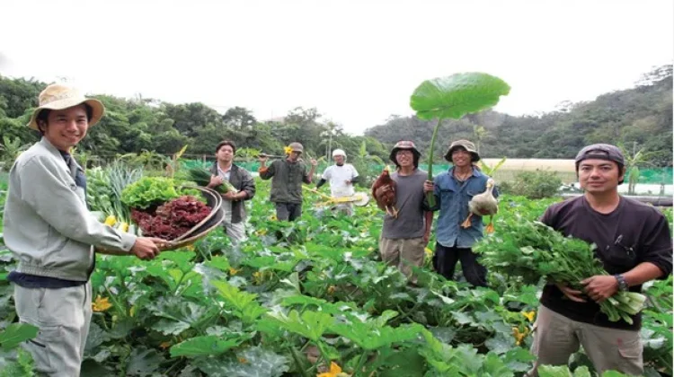Urban Farming Jadi Tren Baru Warga Perkotaan Modern
