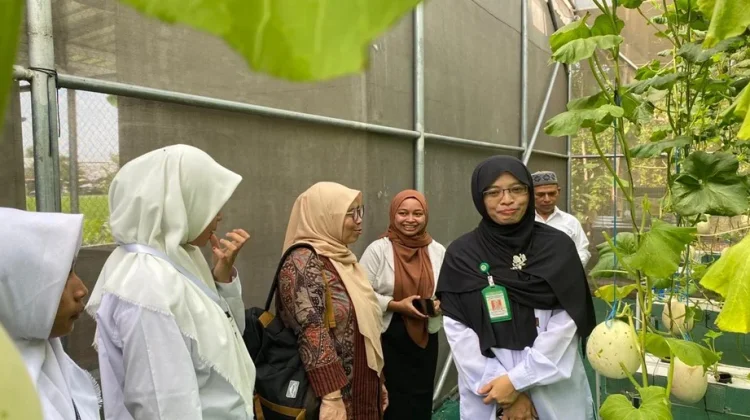 Kolaborasi Bidang Pertanian  Universitas Mercu Buana dengan MA Madania Bantul