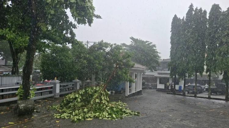 Hujan Masih Diprediksi Mengguyur Yogyakarta Selama Mei-Juni