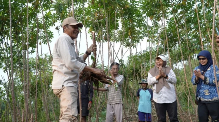 Pemkab Bantul Dorong Ketahanan Pangan lewat Pertanian Terpadu