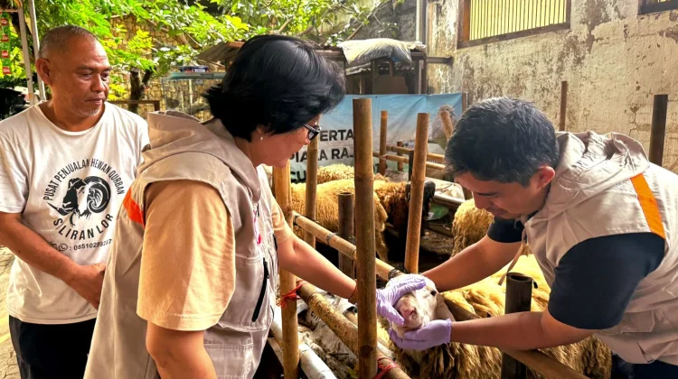 Pemkot Intensifkan Pemantauan Menjelang Iduladha, Periksa 1.718 Hewan Kurban