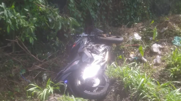 Pemotor Tewas Usai Tabrak Pohon di Banguntapan