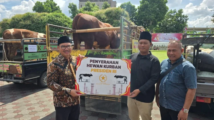 Sapi Bantuan Presiden Dibagikan ke 1.000 Warga Bantaran Sungai Code Yogyakarta