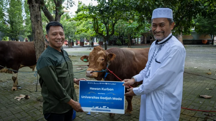 UGM Salurkan Hewan Kurban, Perkuat Kepedulian dan Kebersamaan