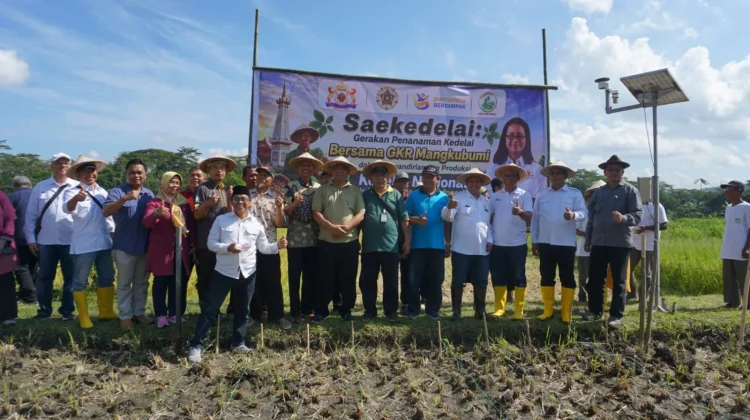 UGM Gerakkan 2.500 Petani untuk Kurangi Ketergantungan Impor Kedelai
