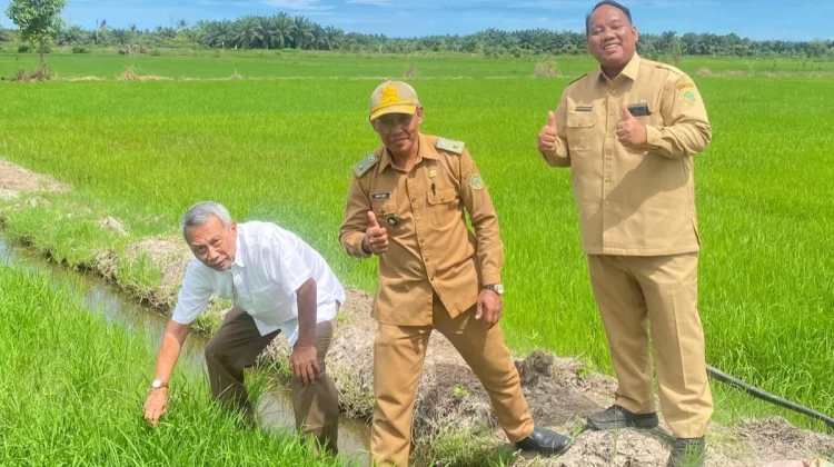 Gamagora 7 Diuji di Kaltim, Harapan Baru untuk Sawah Tadah Hujan