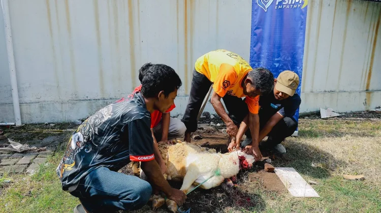 Keluarga Besar Laskar Mataram Bagikan Daging Kurban lewat PSIM Empathy