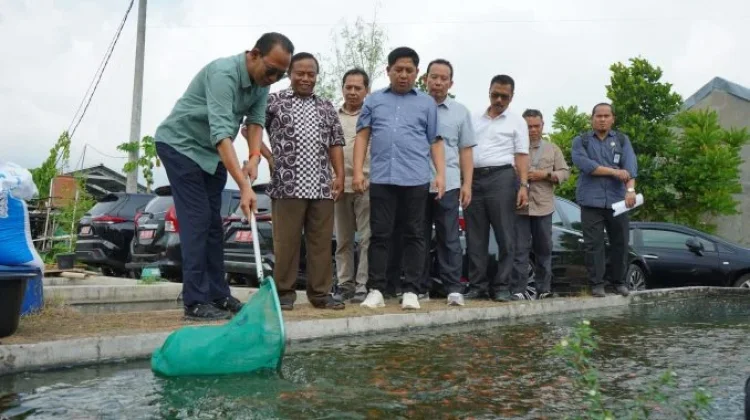 Mengintip Potensi Sendangtirto Sleman, dari Sentra Nila hingga Rencana Wisata