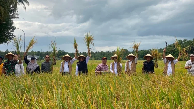 Wujudkan Sila Kelima Pancasila, Komisi IV DPR Dorong Pemerataan Hak Dasar Pangan