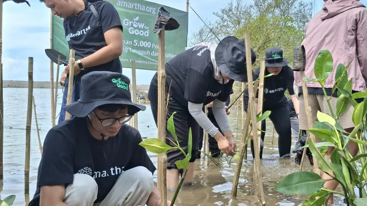 Proklim Jadi Jurus DLH Sleman Hadapi Perubahan Iklim