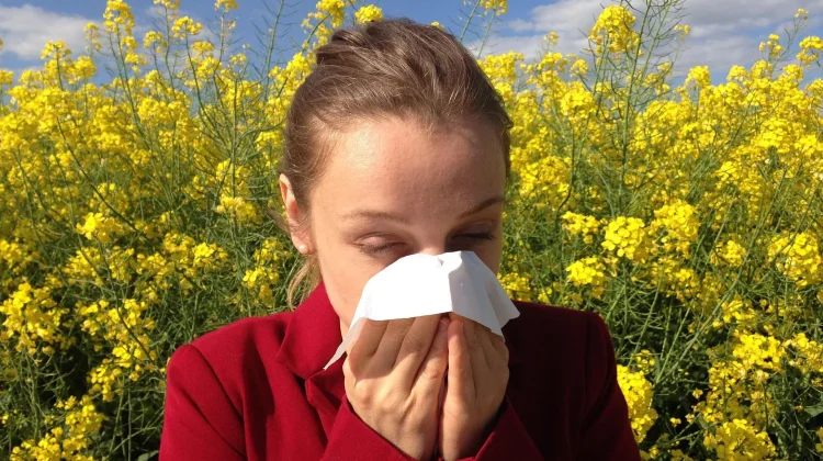 Pencegahan Influenza, Ini yang Harus Dilakukan