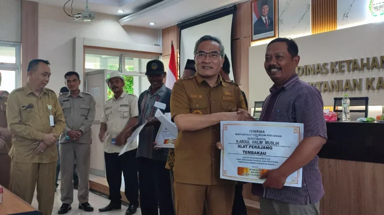 Tingkatkan Produktivitas, Gapoktan di Bantul Terima Bantual Alsintan