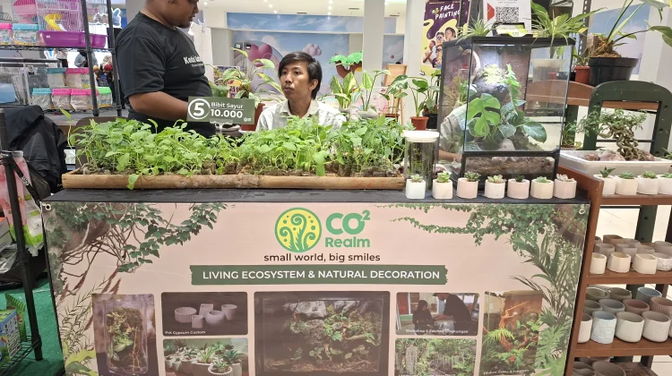 CO2 Realm Hadirkan Ekosistem Mini untuk Pecinta Satwa