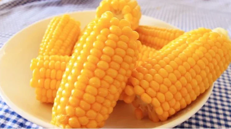 Pengganti Nasi Ramah Kantong, Jagung Rebus Wajib Masuk Menu Diet Anda