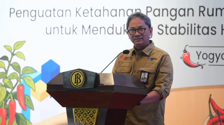 Kendalikan Inflasi, Bank Indonesia Dorong Budidaya Cabai di Pekarangan Rumah