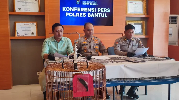 Hobi Koleksi Burung, Seorang Pria Tergiur Menggasak Murai Batu di Banguntapan