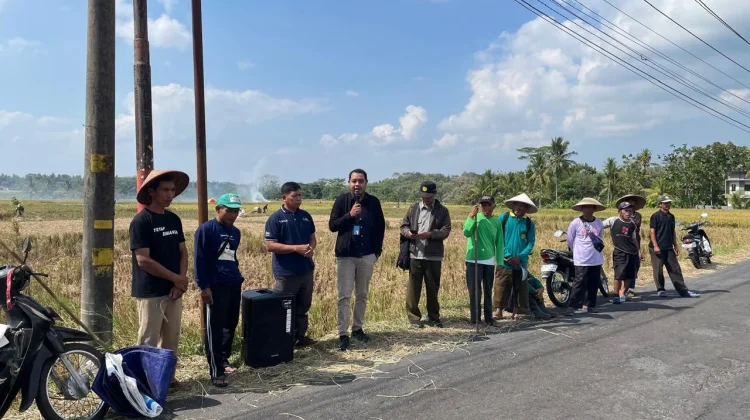PT Pupuk Indonesia Berhasil Terapkan Metode Pemupukan Berimbang di Kulon Progo