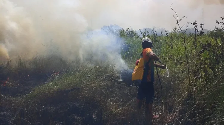 Kurangi Kebakaran Lahan Gambut, Dosen UMY Sebut Cara ini