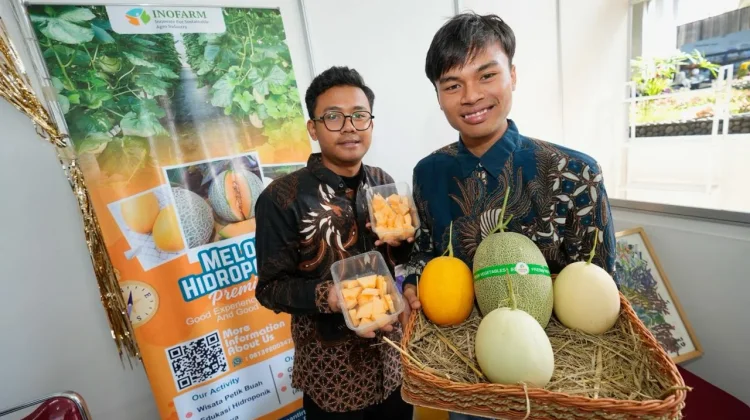 Penggunaan Produk Impor Bisa Dikurangi, ini Syaratnya