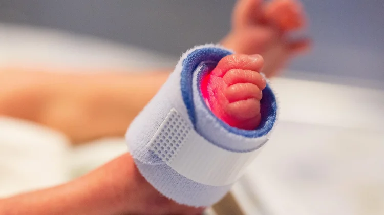 Bayi Keluar dari NICU, Ini Langkah Selanjutnya