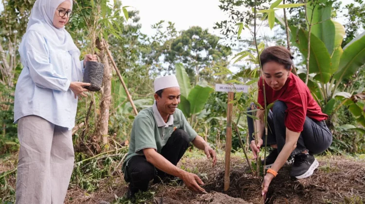 CIMB Niaga Perkuat Konservasi Bambu Berbasis Masyarakat di Lombok Tengah