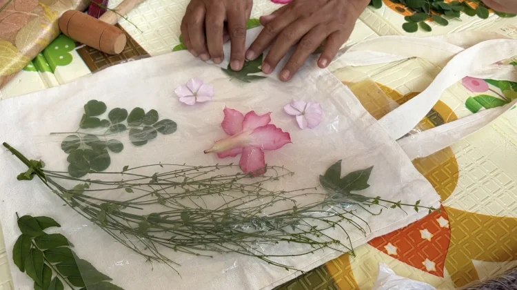 Tas Ecoprint Kanvas yang Banyak Diminati