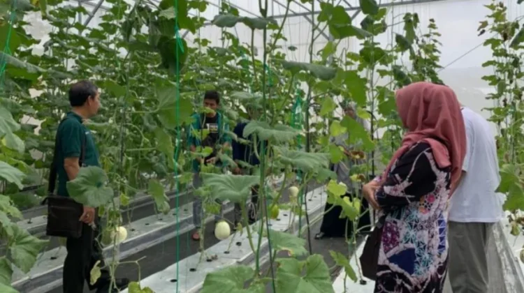 Putat Agrocenter, Agrowisata Berbasis Pelestarian Lingkungan
