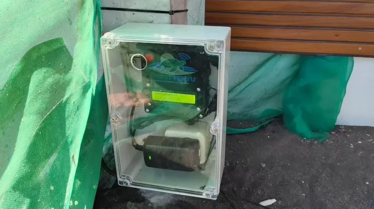 UGM Luncurkan E-NEST Penyu untuk Digitalisasi Konservasi Tukik