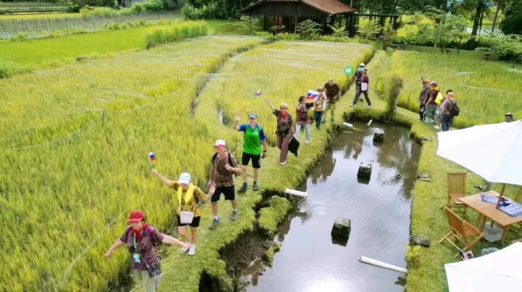 Jalan Kaki Sambil Rekreasi di Ecolife Walk Trimulyo Sleman